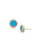 Simplicity Stud Earrings - EBY38BGBRC